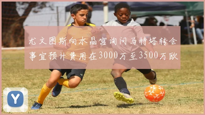 尤文图斯向水晶宫询问马特塔转会事宜预计费用在3000万至3500万欧元之间